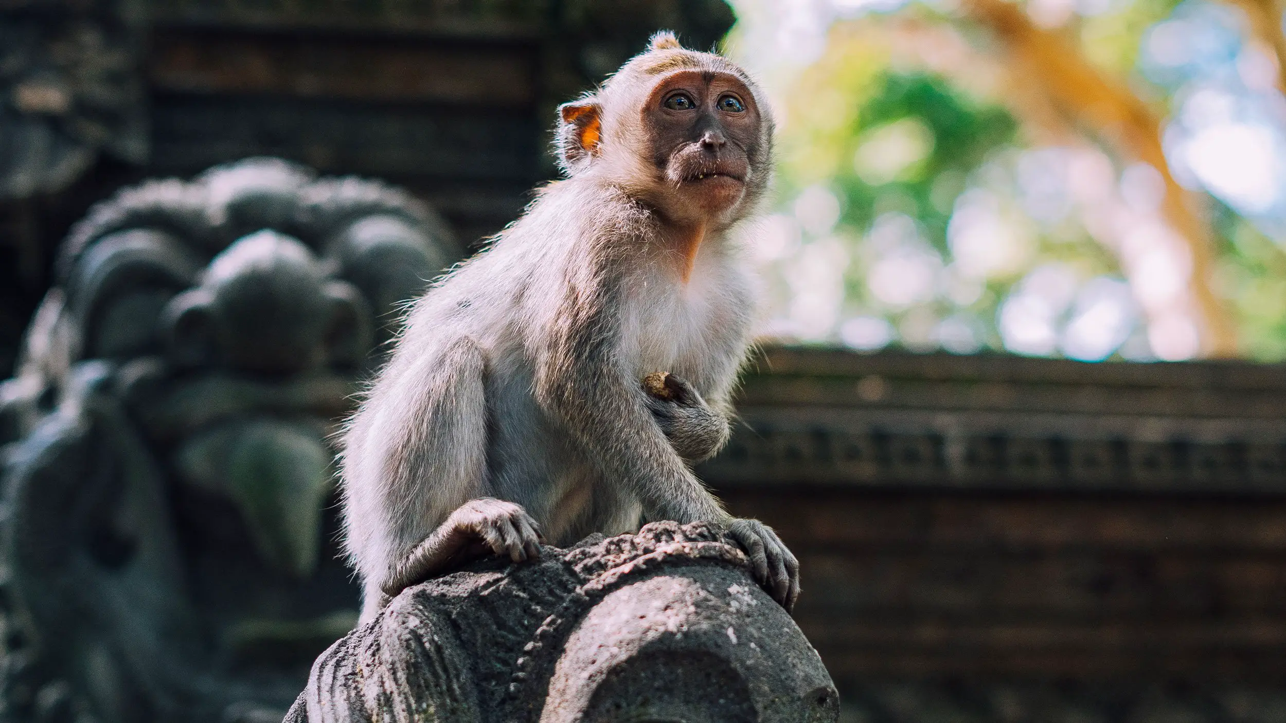 ubud-tour-made-bali-trip